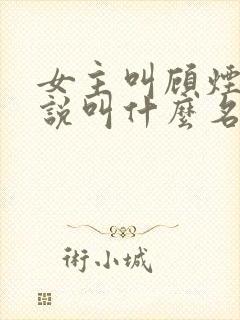 女主叫顾烟的小说叫什么名字封面