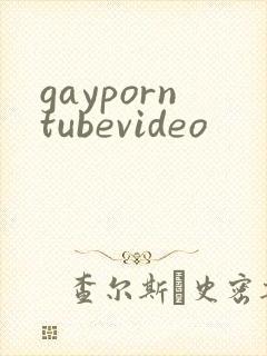 gayporntubevideo
