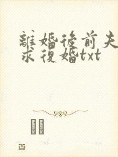 离婚后前夫哭着求复婚txt