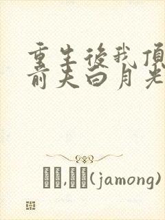 重生后我顶替了前夫白月光免费版