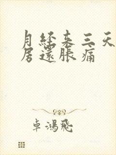 月经来三天了乳房还胀痛封面