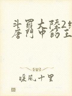 斗罗大陆2绝世唐门中的王冬