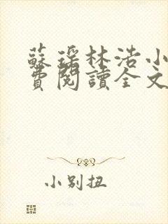 苏瑶林浩小说免费阅读全文最新章节