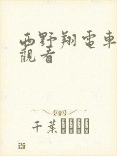 西野翔电车在线观看