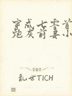 穿成七零首富的炮灰前妻小说