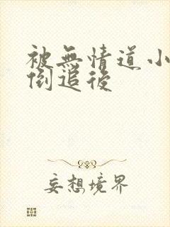 被无情道小师弟倒追后