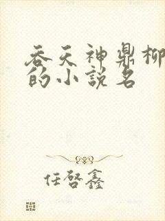 吞天神鼎柳无邪的小说名