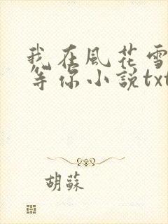 我在风花雪月里等你小说txt下载封面