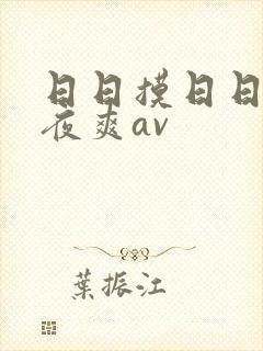 日日摸日日碰夜夜爽av