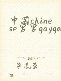 中国chinese男男gaygay网站