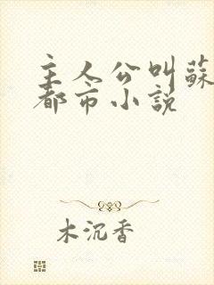 主人公叫苏晨的都市小说封面