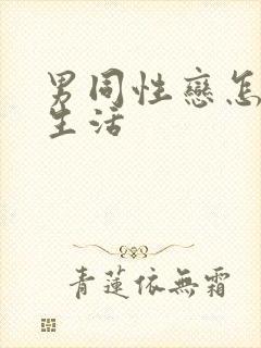 男同性恋怎样性生活