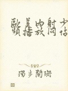 欧美内射少妇视频播放网站