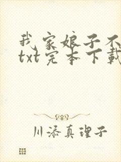 我家娘子不对劲txt完本下载封面