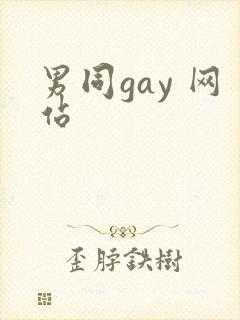 男同gay 网站