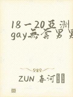 18一20亚洲gay无套男男