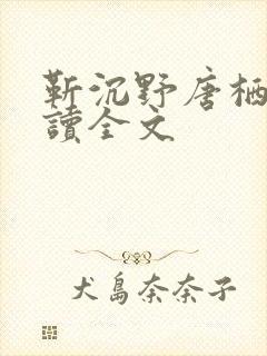 靳沉野唐栖雾阅读全文封面