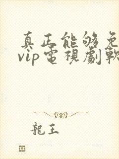 真正能够免费看vip电视剧软件