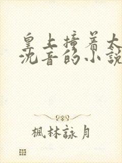 皇上撞着太子妃沈音的小说叫什么