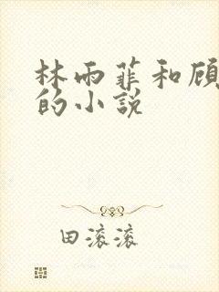 林雨菲和顾北潇的小说