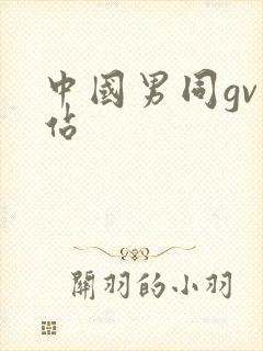 中国男同gv网站封面