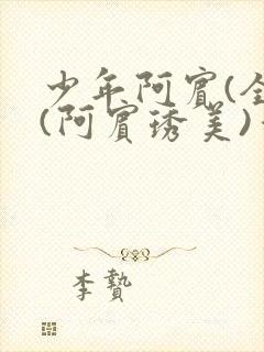 少年阿宾(全)(阿宾琇美)番外+大结局小说