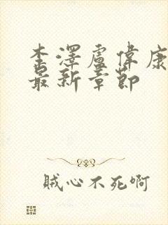 李泽卢伟康小说最新章节封面