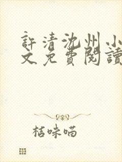 许清沈州小说全文免费阅读