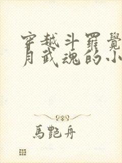 穿越斗罗觉醒日月武魂的小说