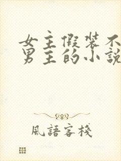 女主假装不认识男主的小说