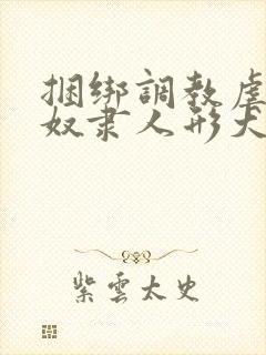 捆绑调教虐待性奴隶人形犬母狗小说