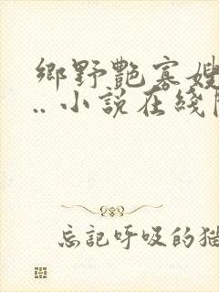 乡野艳寡嫂:... 小说在线阅读