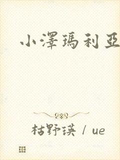 小泽玛利亚作品封面