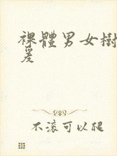 裸体男女树林做爰