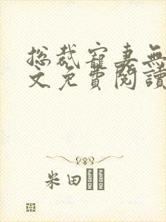 总裁宠妻无度全文免费阅读