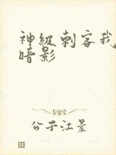 神级刺客我既是暗影