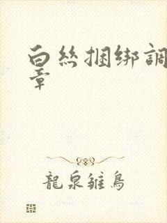 白丝捆绑调教文章