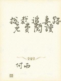 总裁追妻路漫漫 免费阅读