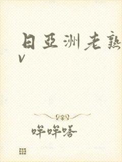 日亚洲老熟女av