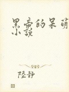 黑帝的呆萌妻 小说