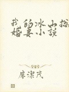 我的冰山总裁未婚妻小说