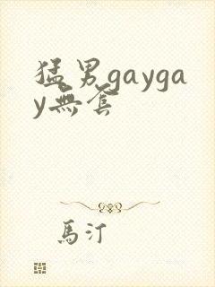 猛男gaygay无套