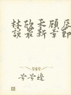 林欣禾顾辰昀小说最新章节免费阅读