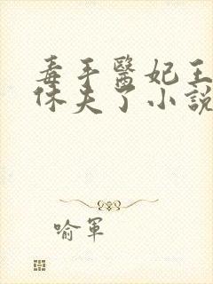 毒手医妃王爷被休夫了小说封面