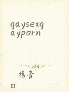 gaysexgayporn封面