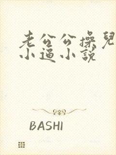 老公公操儿媳妇小逼小说封面