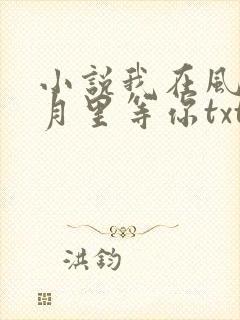 小说我在风花雪月里等你txt下载