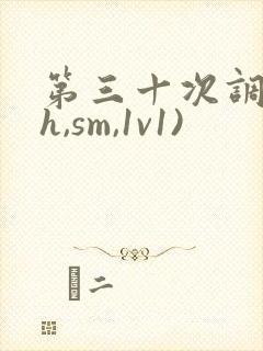 第三十次调教(h,sm,1v1)