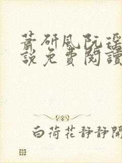 萧研风阮瑶光小说免费阅读最新章节