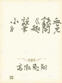 小说《铁血残明》笔趣阁免费阅读